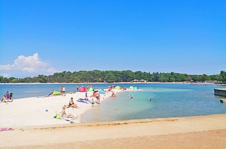 Appartement Studio-Wohnung "Vita"