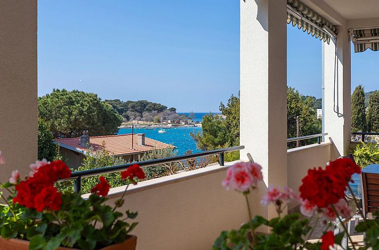 Guest house 10109139 - Apartment Istria - Appartement Appartement in Stoja mit Terrasse