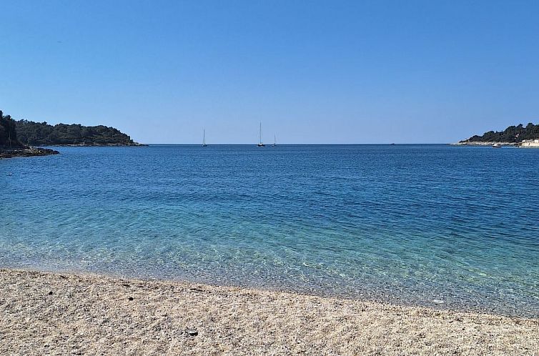 Appartement Geräumige charmante Wohnung in der Nähe des Me