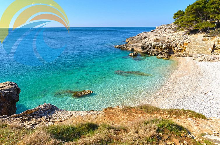 Appartement Apartment 898