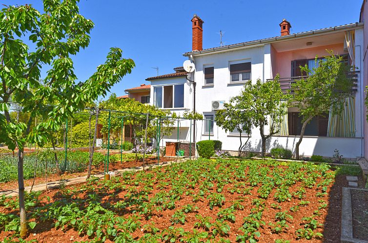 Guest house 10109156 - Apartment Istria - Appartement Apartment 1230