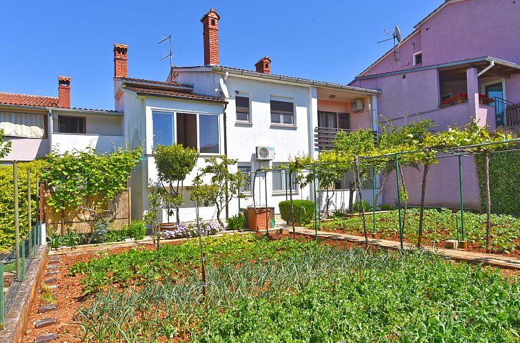 Appartement Apartment 1230