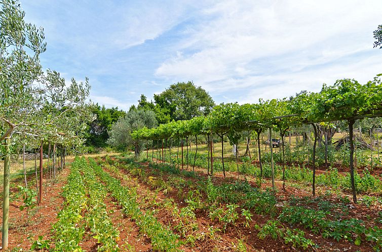 Appartement Apartment 684