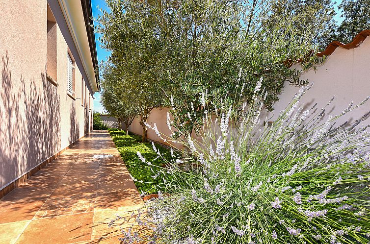 Vakantiehuis House 2269