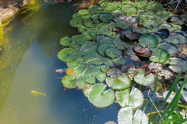 Vakantiehuis Country house D&D