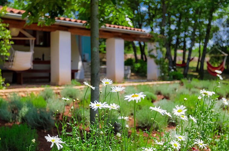 Vakantiehuis Country house D&D