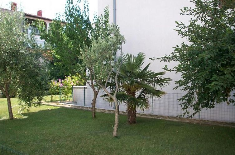 Appartement in ruhiger Lage