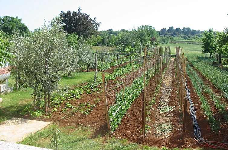 Appartement Apartment in Pula, Kroatien mit hohen Gästebewe