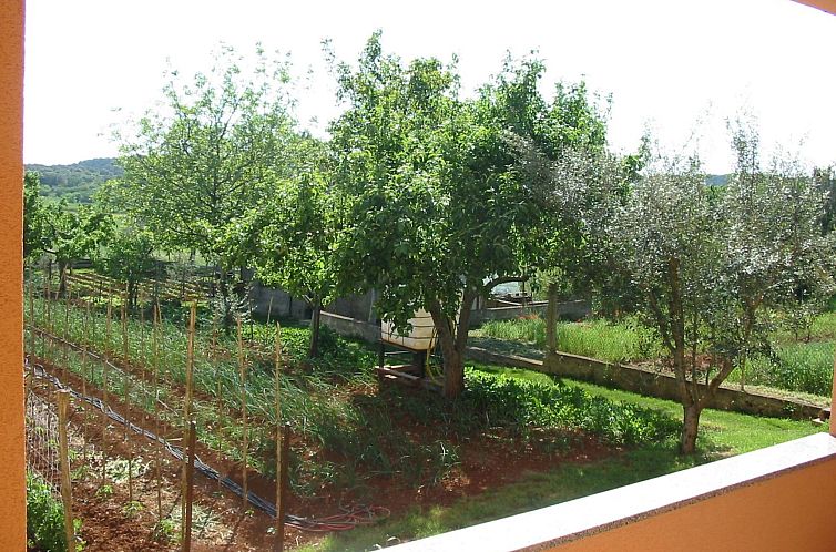 Appartement Apartment in Pula, Kroatien mit hohen Gästebewe