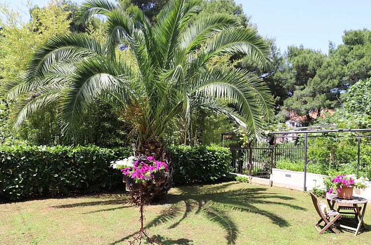 Appartement Gemütliche Wohnung mit Gartenblick