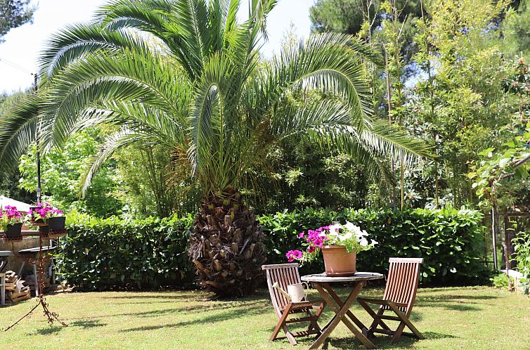 Appartement Gemütliche Wohnung mit Gartenblick