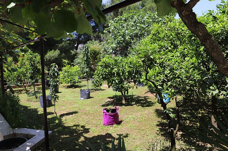 Appartement Gemütliche Wohnung mit Gartenblick