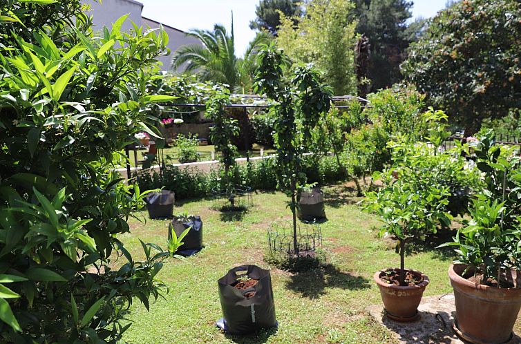 Appartement Gemütliche Wohnung mit Gartenblick
