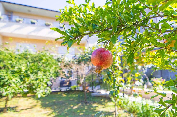Appartement Gemütliche Wohnung mit Gartenblick