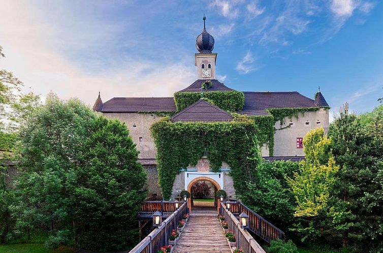 Guest house 10111518 - Apartment Steiermark - Hotel Schloss Gabelhofen