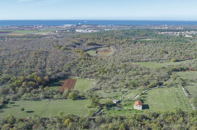 Vakantiehuis Das Haus im Wald