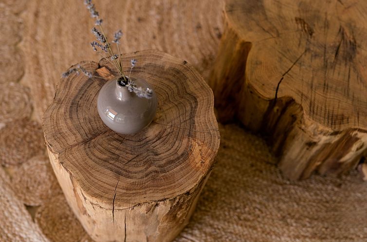 Vakantiehuis Villa Griota