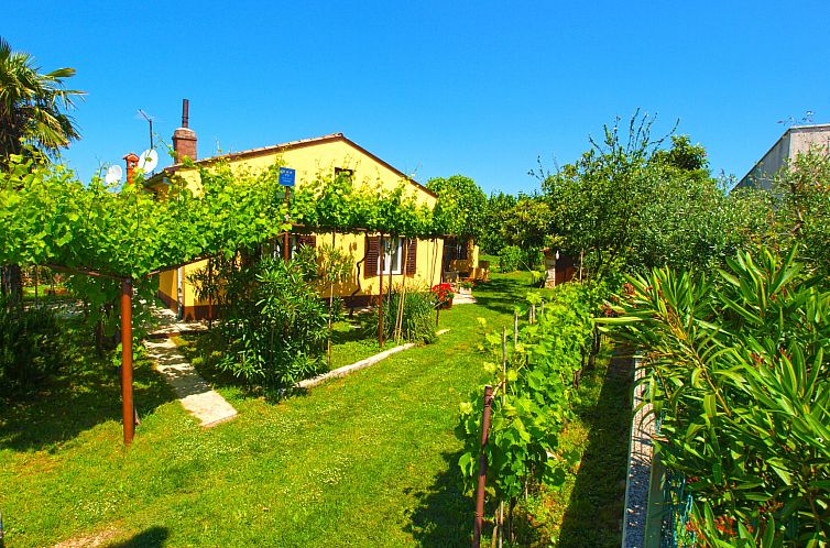 Vakantiehuis House 1037