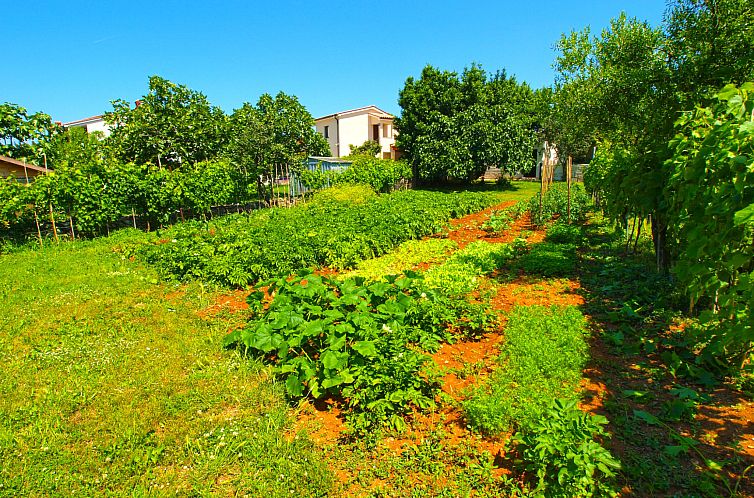 Vakantiehuis House 1037