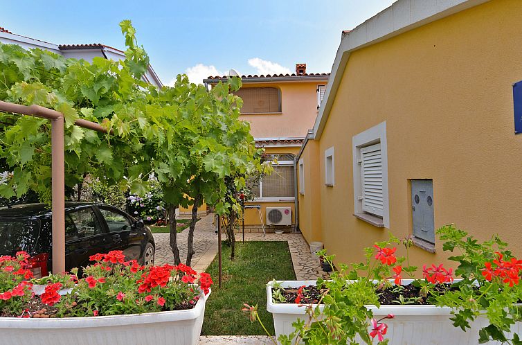 Appartement Apartment 436