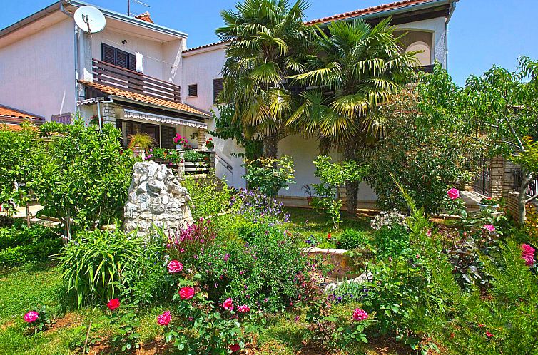 Appartement Apartment 959