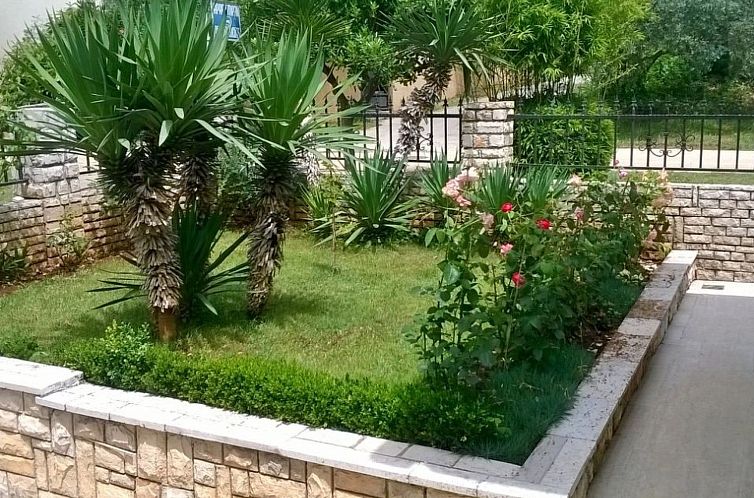 Appartement Apartment 959