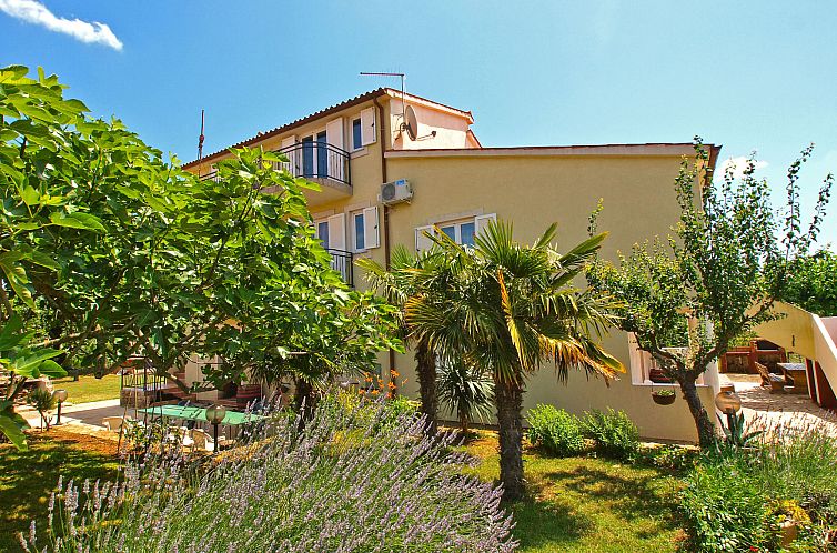 Appartement Apartment 777