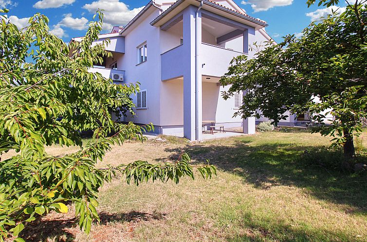 Unterkunft 10113132 - Appartement Istrien - Appartement Apartment 2397