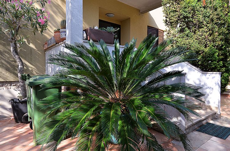 Appartement Apartment 2058