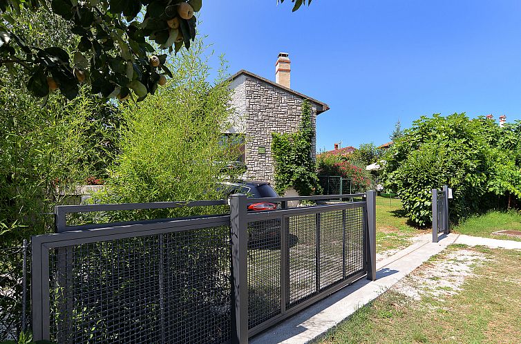 Appartement Apartment 1950