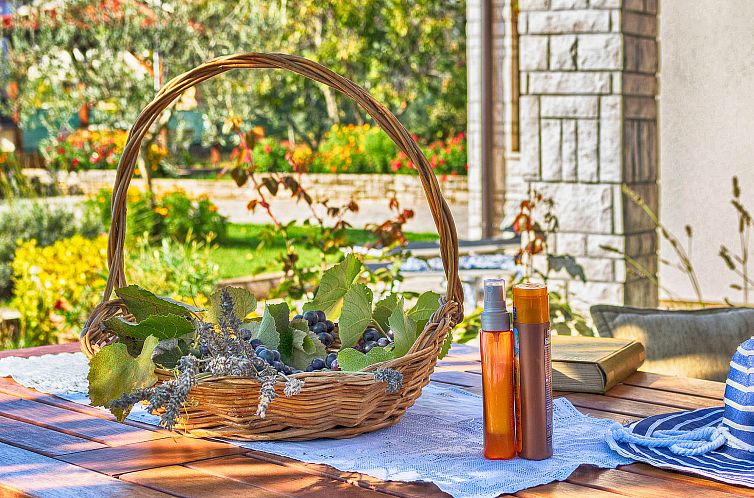 Appartement Apartment 38