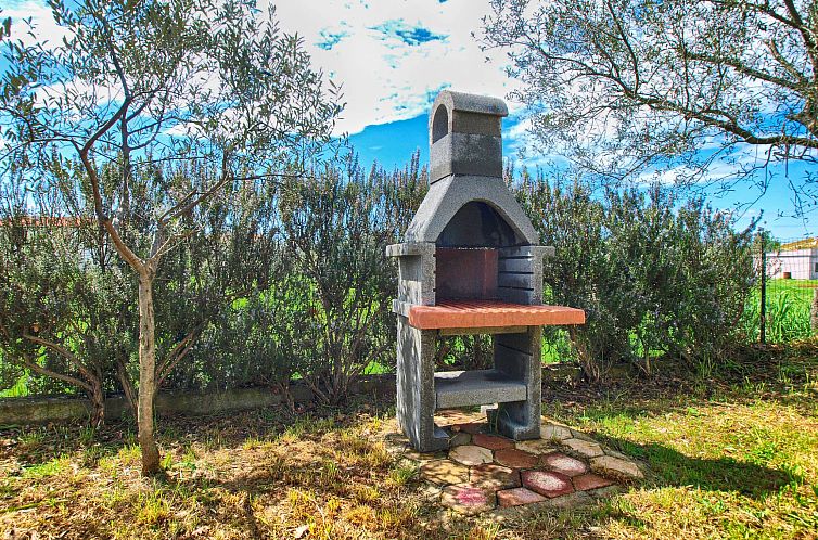 Appartement Apartment 1598