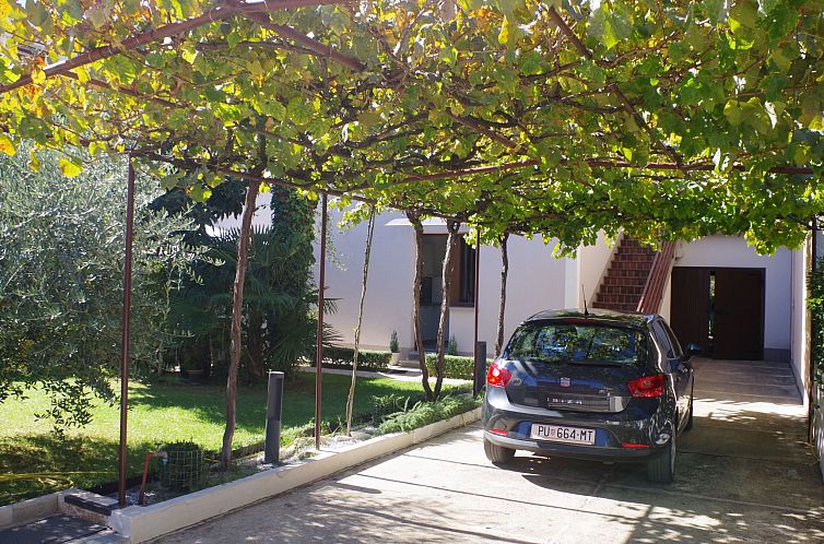 Appartement "Toni" mit Terrasse