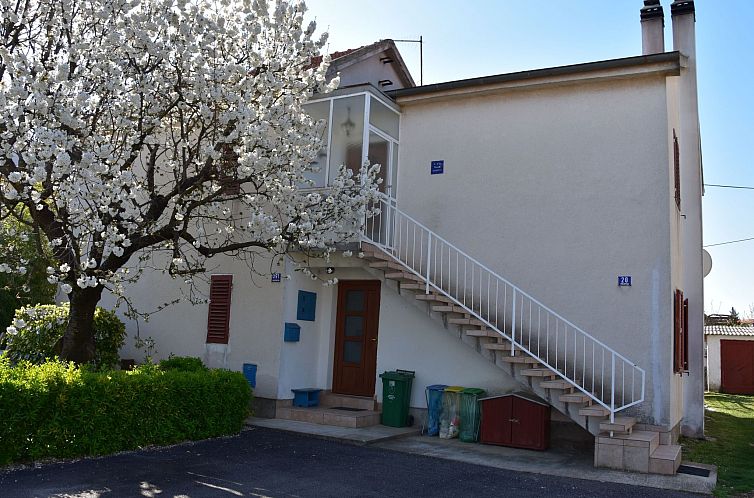 Unterkunft 1011353 - Appartement Istrien - Appartement Gemütliche Wohnung in Meeresnähe