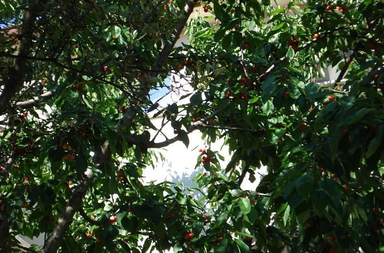 Appartement Wohnung in Fazana mit Garten, Grill und Terrasse