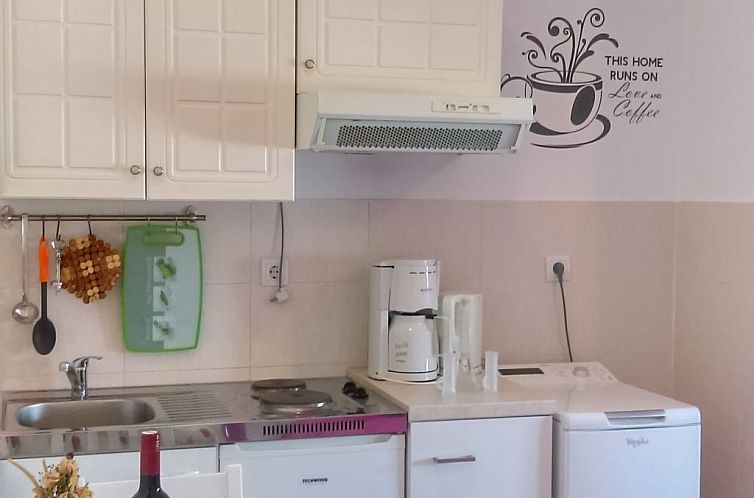 Appartement Studio mit Miniküche