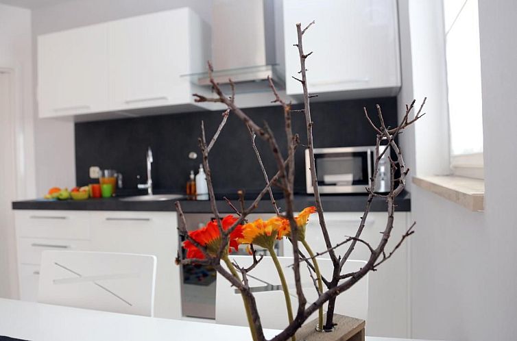 Appartement Wohnung "Pusteblume" mit Terrasse