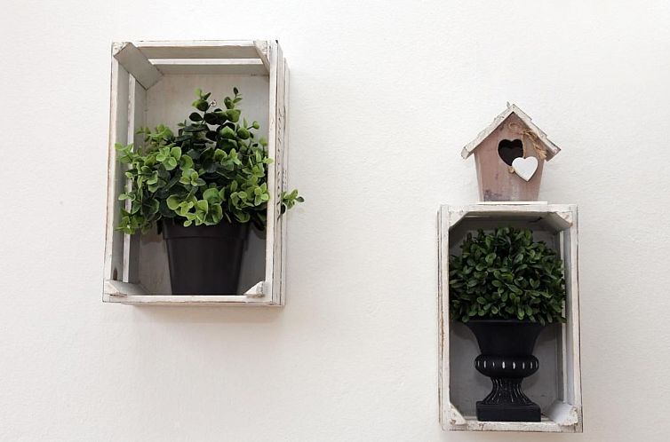 Appartement Wohnung "Pusteblume" mit Terrasse
