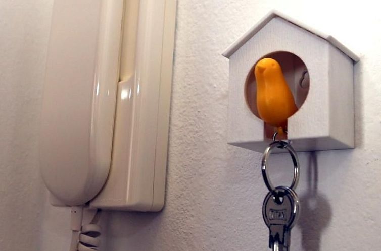 Appartement Wohnung "Pusteblume" mit Terrasse