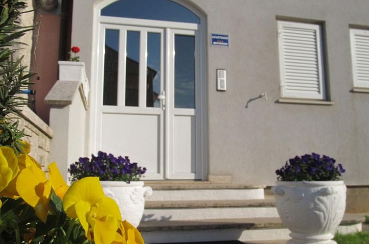 Appartement Wohnung "Pusteblume" mit Terrasse