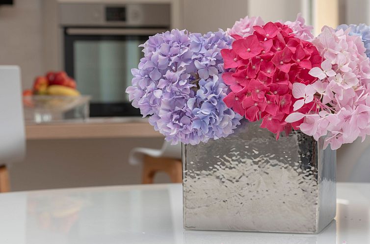 Appartement gemütliche und moderne Wohnung