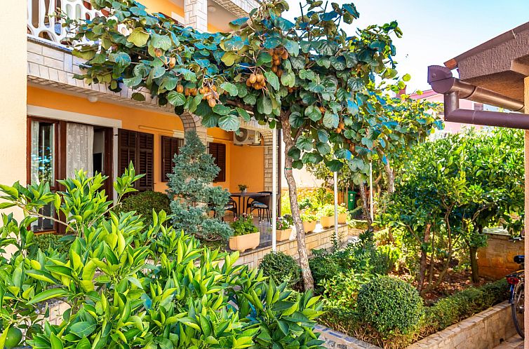 Appartement Appartement in Fažana mit Möbliertem Balkon