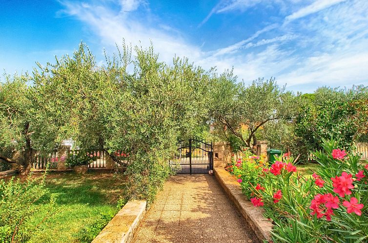 Appartement Apartment 442