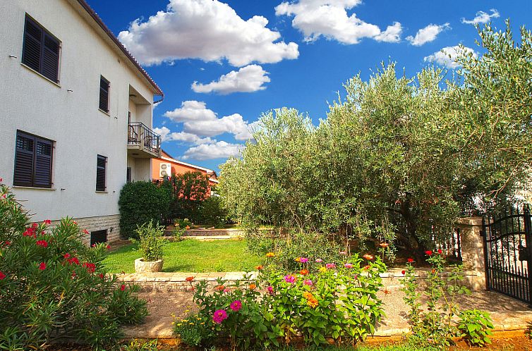 Appartement Apartment 442