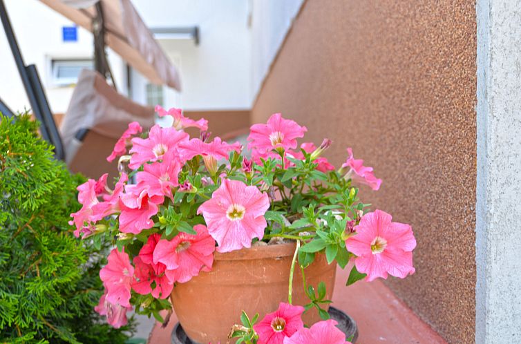 Appartement Apartment 1451