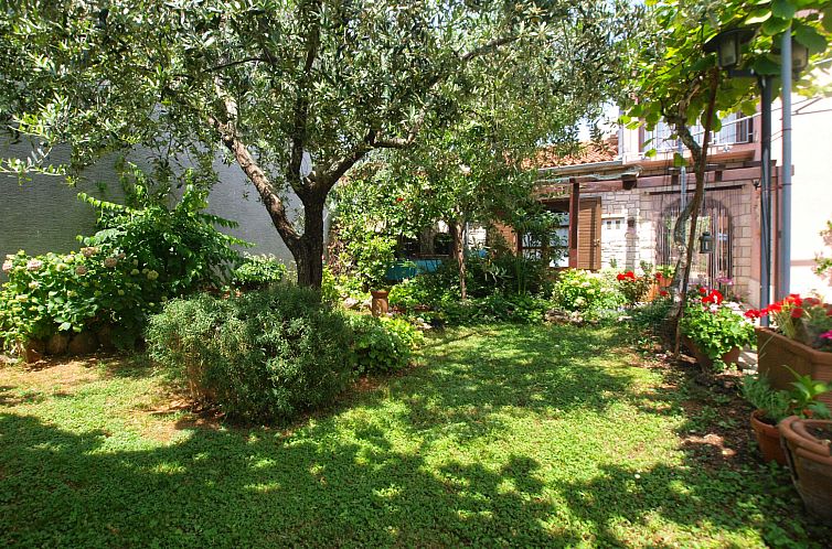 Appartement Apartment 64