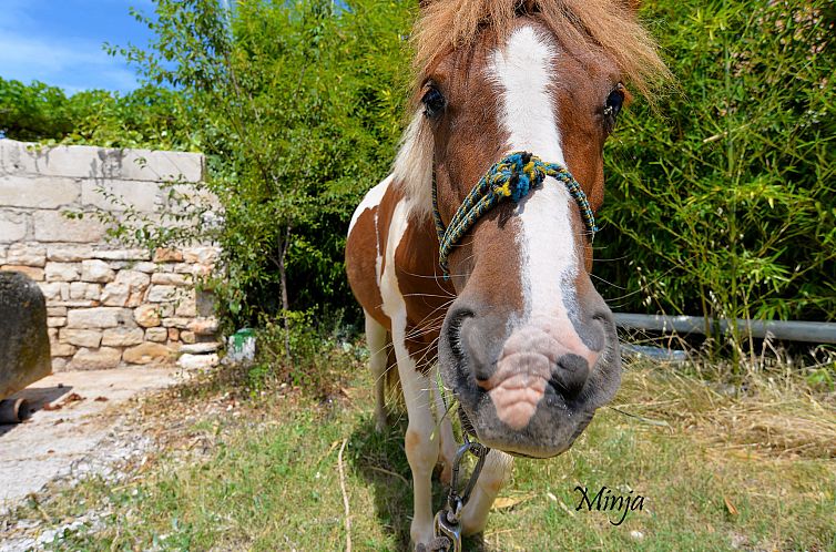 Appartement Apartment 1938