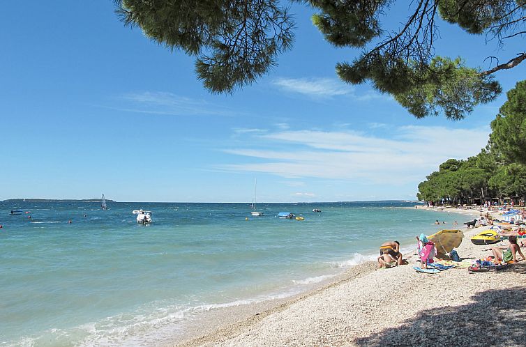 Appartement Apartment 1938
