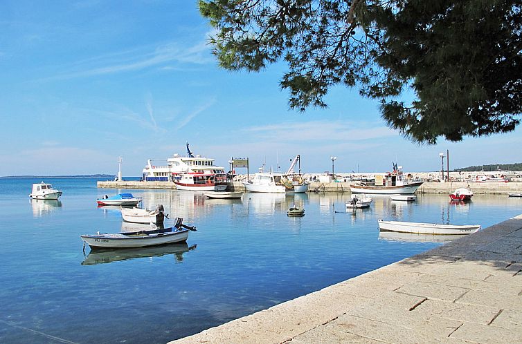Appartement Apartment 1938