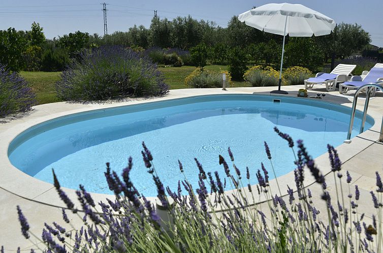 Vakantiehuis House 24